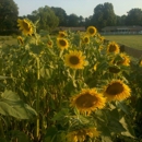 The Park at Harlinsdale Farm - Places Of Interest