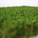 Big Bully Turf - Landscape Designers & Consultants