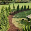 Bare Roots Landscaping gallery