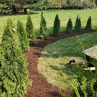 Bare Roots Landscaping