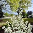 Black Dog Services - Landscape Contractors