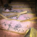 Omega Animal Removal Dallas - Pest Control Equipment & Supplies