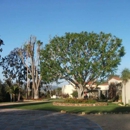 Jo Tree Service - Arborists