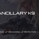Ancillary K9 Dog Training - Dog Training