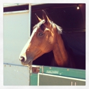 Sonoma Horse Park - Race Tracks