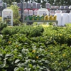 Garden Center at The Home Depot gallery