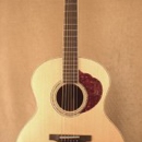 Holy Guitars LLC - Musical Instruments-Repair