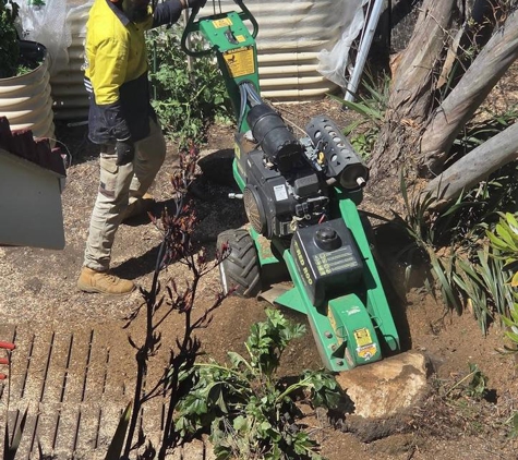 Arborista Trees - Harrison, ACT