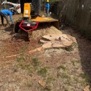 RC Tree Services Pro - Tree Service