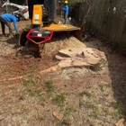 RC Tree Services Pro