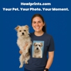 Howl Prints gallery