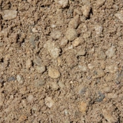 Gallery Image Number 5