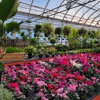 Sunny Spot Nursery gallery