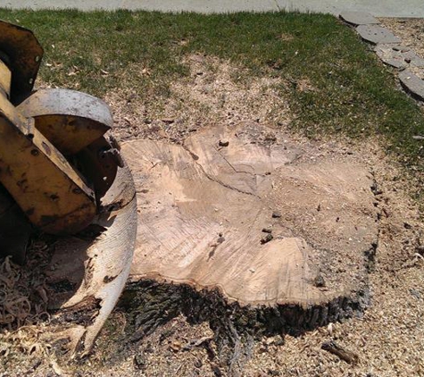 Jessie's Stump Removal & Total Tree Care - Beech Grove, IN