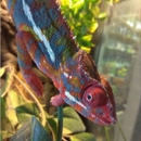 Off The Hook Exotics Pet Shop - Pet Stores