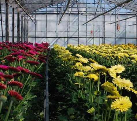 Floraco Pty Ltd - Forrestdale, WA