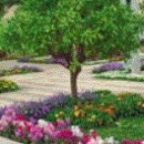 Nor-Cal Landscaping Inc. - Landscape Contractors