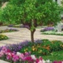 Nor-Cal Landscaping Inc.