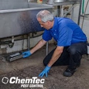 ChemTec Pest Control - Pest Control Services