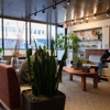 Penny George Institute for Health and Healing – Minneapolis gallery