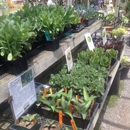 Harmony Farm Supply & Nursery - Seeds & Bulbs