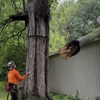 Tree Pros gallery