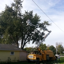 Madison County Tree Service . - Landscaping & Lawn Services