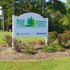 Pine Forest Apartments gallery
