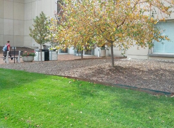 IUPUI University Library - Indianapolis, IN