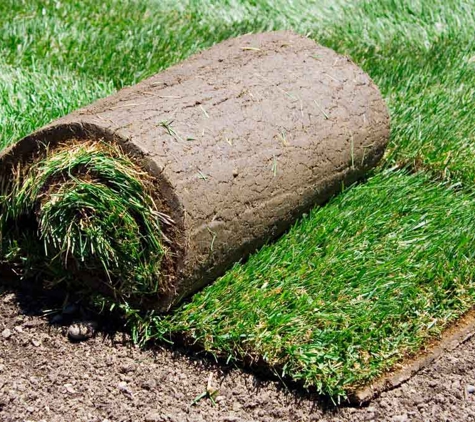 ABC Turf Supplies - Freemans Reach, NSW. Making Australia greener one roll at a time.