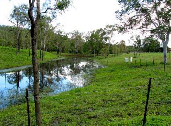 Townsville Agistment - Roseneath, QLD