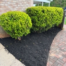 Bros With A Cause - Landscape Designers & Consultants