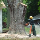 Affordable Tree Care - Man Lifts