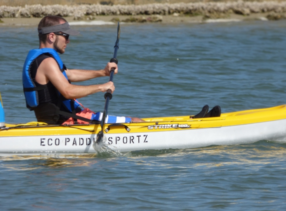 Eco Paddlezportz - Estero, FL