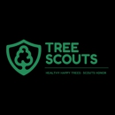 Tree Scouts Tree Service Austin - Arborists