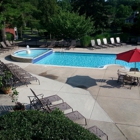 Treetops At Chester Hollow