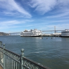 San Francisco Belle
