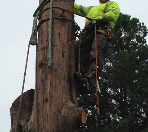 Alleys Tree Service