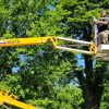 Critter Control of Mansfield gallery