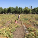 Underwood Family Farms - Moorpark - Farms