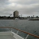 Seaforth Sportfishing