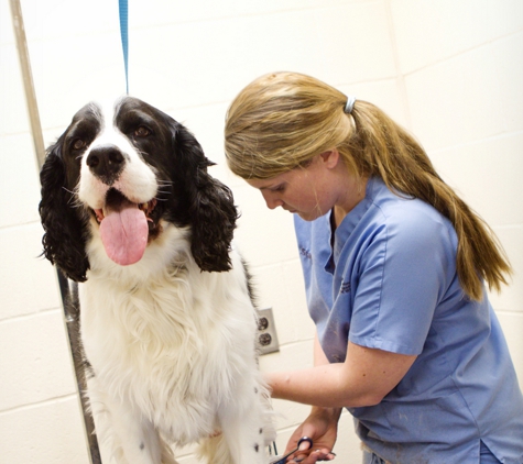 Animal Medical Center - Wyoming, MI