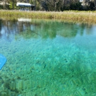 Rainbow Springs State Park