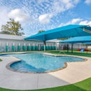 Pet Paradise - Hostels