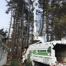 GT OptimoTree Services - Gardeners