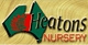 Heatons Wholesale Fern And Anthurium Nursery - Nursery & Garden Supplies Wholesale