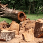 Camarillo Tree Service Pros