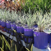 Gallery Image Number 1