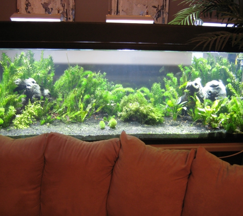 AQUARIUMS FOR LIFE! Aquarium Maintenance Service,  Formerly "That Fish Guy"