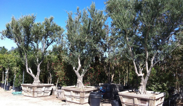 Green Landscape Nursery - Santa Clarita, CA